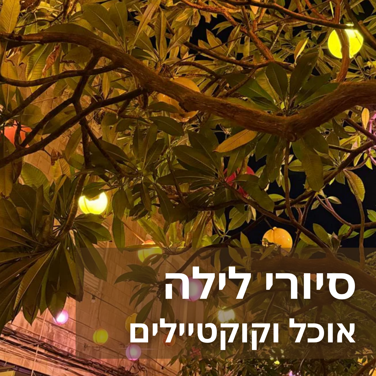 סיורי לילה בחיפה: אוכל ואלכוהול בעיר התחתית