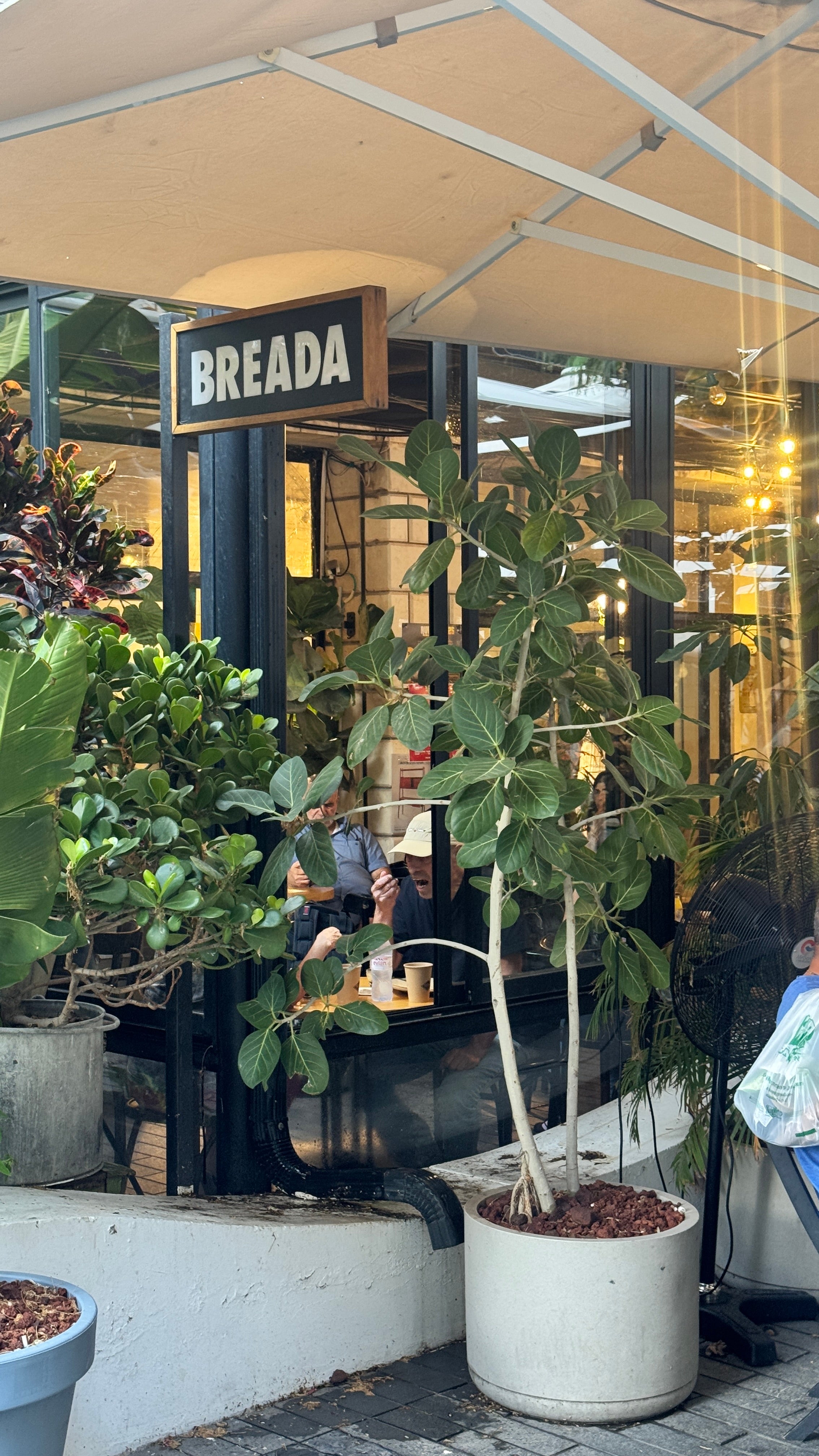 סיור ספיישל: פסטיבל החלה