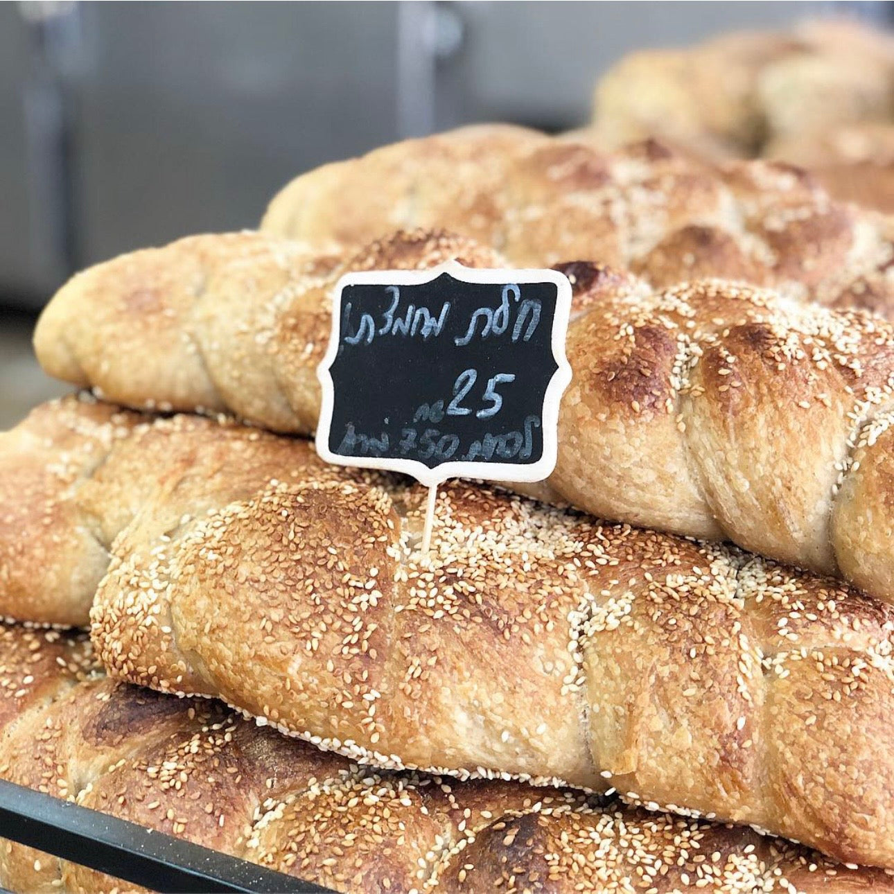 סיור ספיישל: פסטיבל החלה