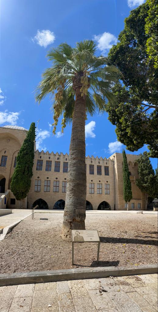 סיור היוצרים של הדר ושוק תלפיות